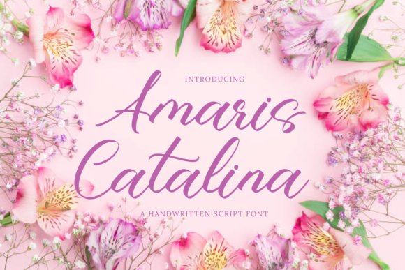 Amaris Catalina Font Review for Campaigns