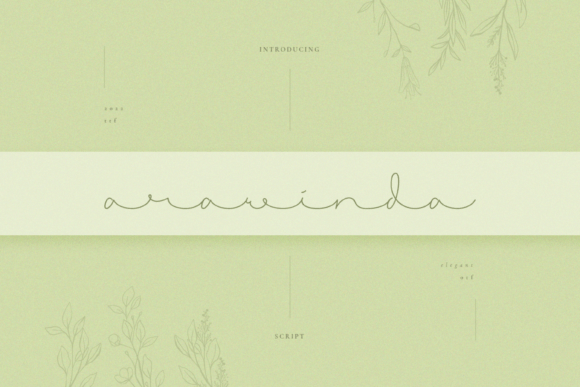 Arawinda Font Review: Elegant Script for Branding