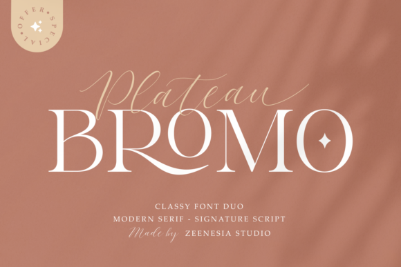 Bromo Plateau: A Versatile Typeface for Web Design
