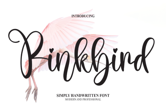 Pinkbird Font Review for Web Design