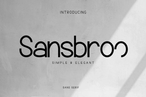 Reviewing Sansbroo: A Designer’s Perspective