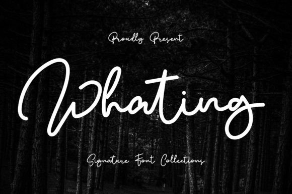 Whating Font: Elevate Web Design with Elegant Script